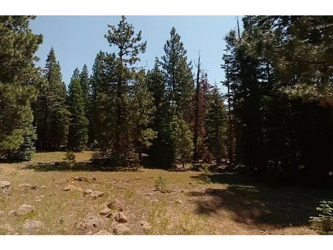 A picture from a place ne