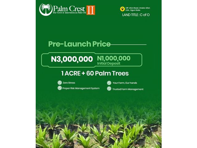 1 Acre 60 Palm Trees 