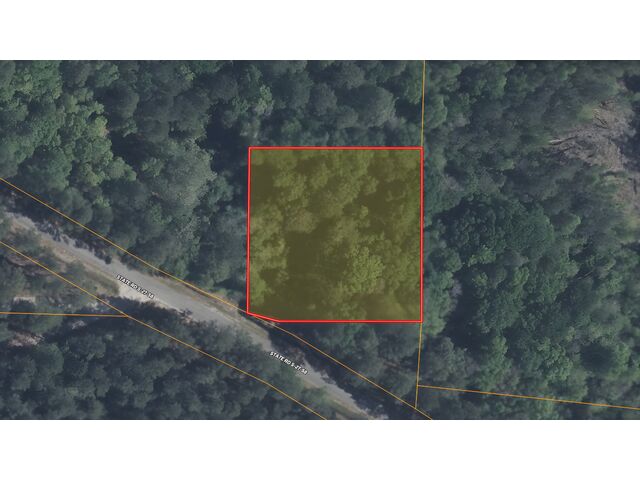 Cohen Rd, Pineland, SC 29