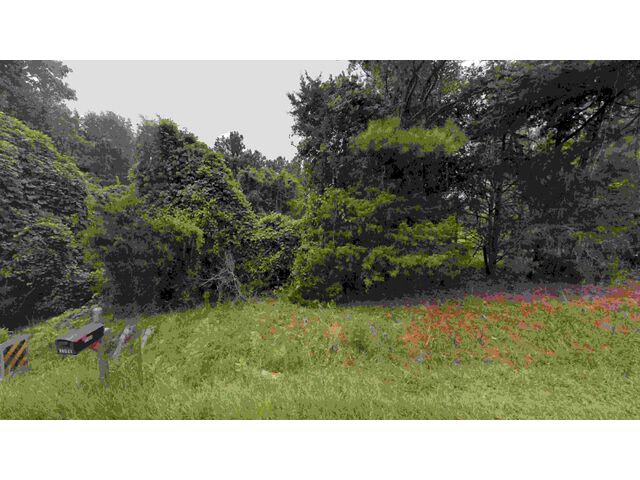 Hwy 56, Clinton, SC, 2932