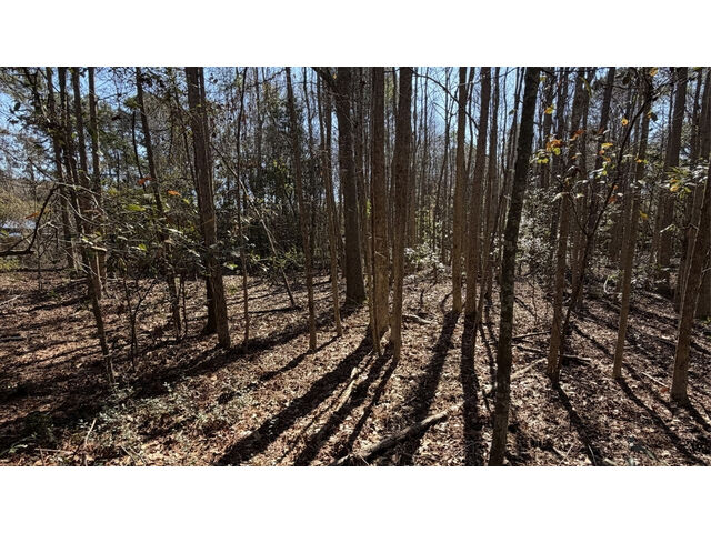 Rosemary Rd, Yemassee, SC