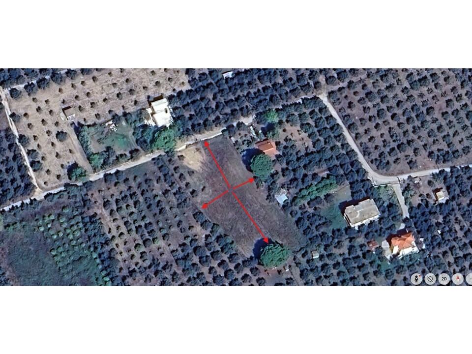 Zacharo Plot 4